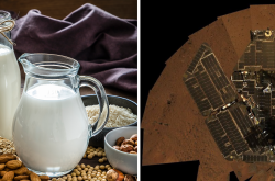 Deux images assemblées : À gauche, différents laits végétaux, à droite, une vue aérienne du rover Spirit.